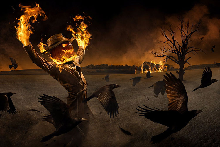 Tải + Download hình nền Bí Ngô – Pumpkin trong lễ hội Halloween Tải + Download hình nền Bí Ngô – Pumpkin trong lễ hội Halloween