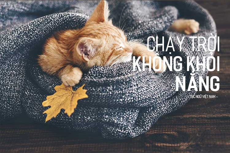 Tải + Download font chữ hoa Fester Việt hóa đẹp