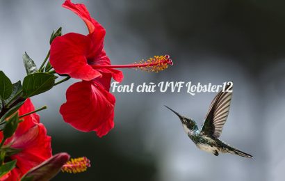 Tải + Download font chữ UVF Lobster12 việt hóa cực đẹp