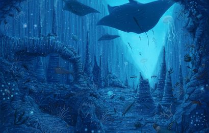 Tải + Download hình nền động vật Cá Đuối – Manta Ray 4k Ultra full hd