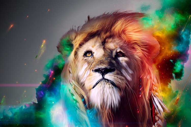 Tải + Download hình nền con Sư tử – Panthera leo 4k Ultra full hd