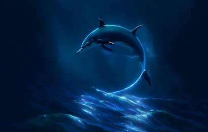Tải + Download hình nền con Cá Heo – Dolphin 4k Ultra full hd