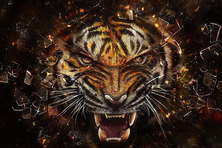 Tải + Download hình nền con Hổ – Tiger 4k Ultra full hd