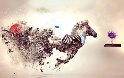 Tải + Download hình nền con Ngựa Vằn – Zebra 4k Ultra full hd